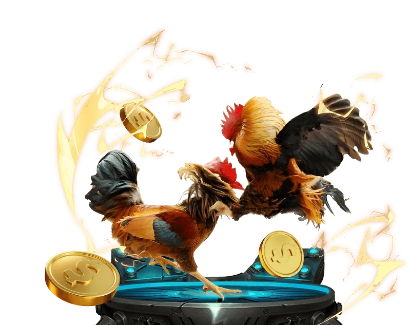 Quy định chung df99